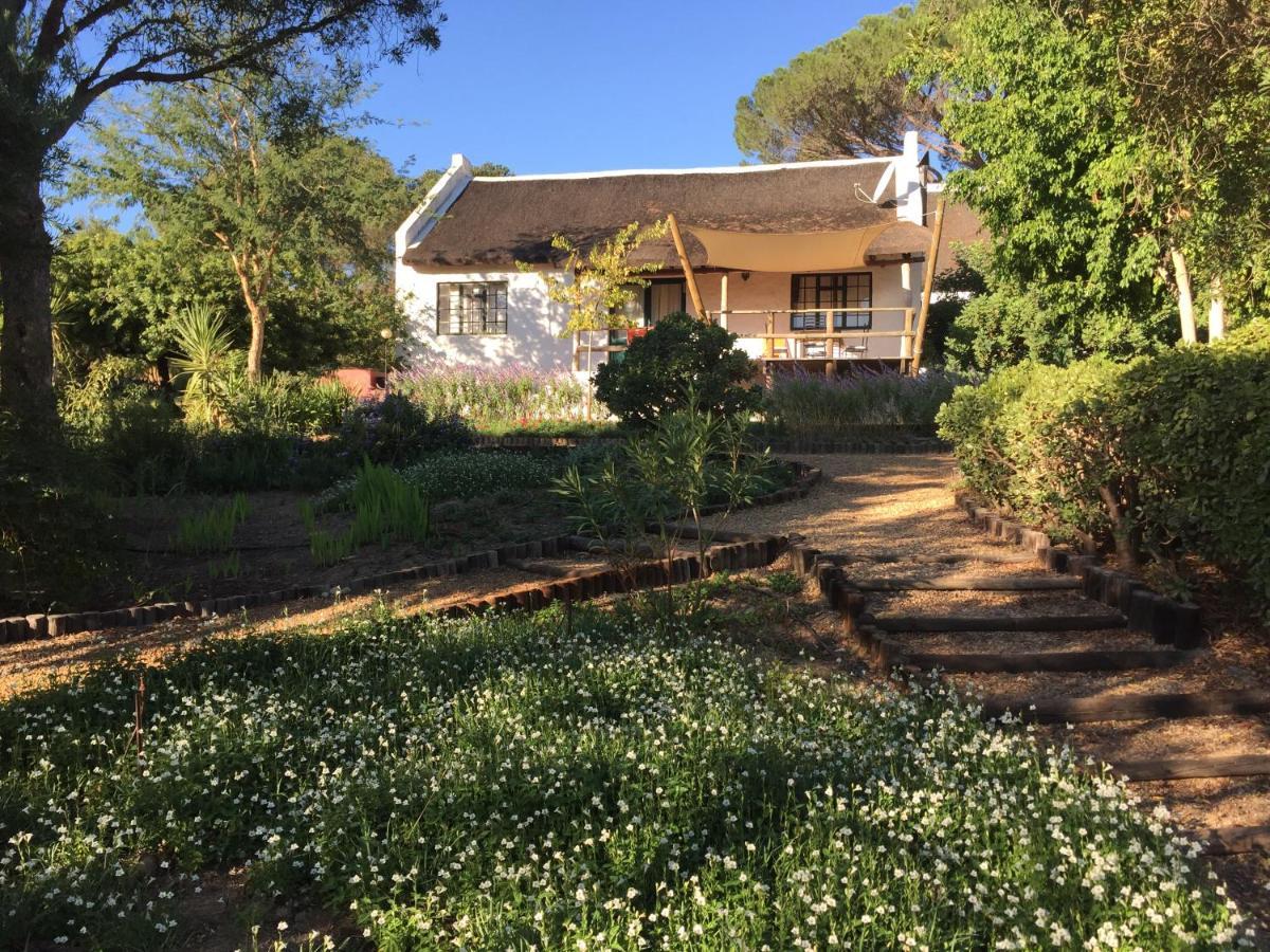 Villa Mooi Bly Paarl Exterior foto
