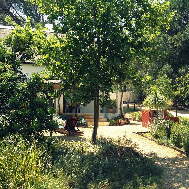 Villa Mooi Bly Paarl Habitación foto