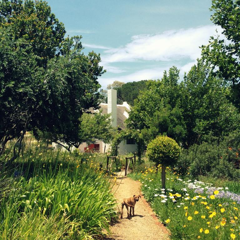 Villa Mooi Bly Paarl Habitación foto
