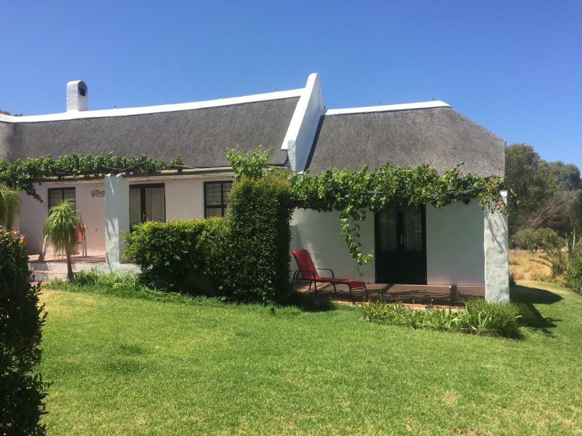Villa Mooi Bly Paarl Exterior foto