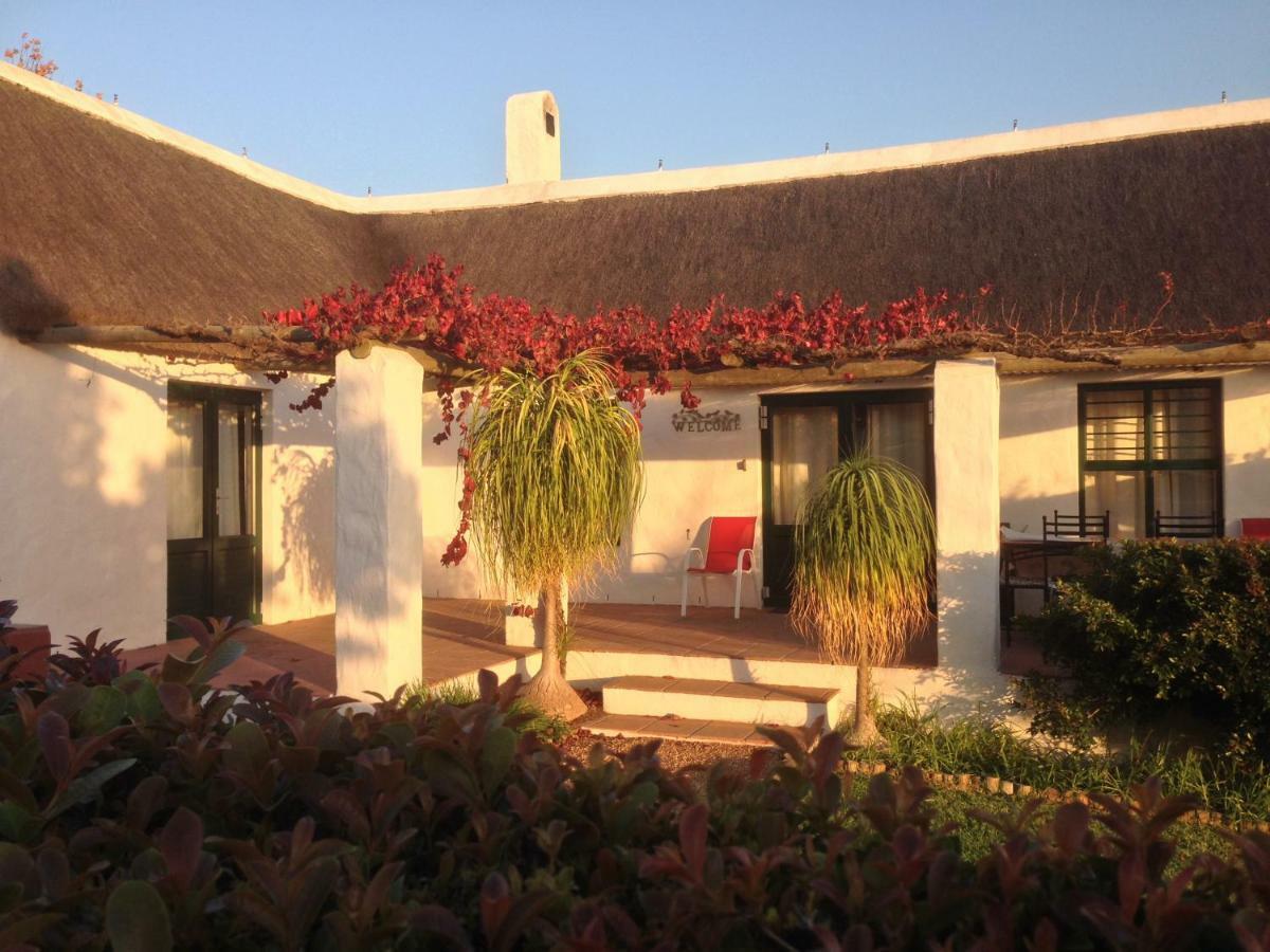 Villa Mooi Bly Paarl Exterior foto