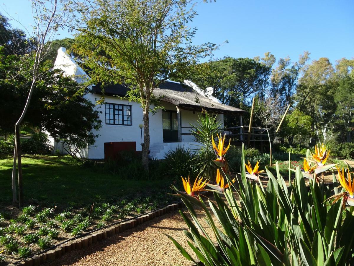 Villa Mooi Bly Paarl Exterior foto